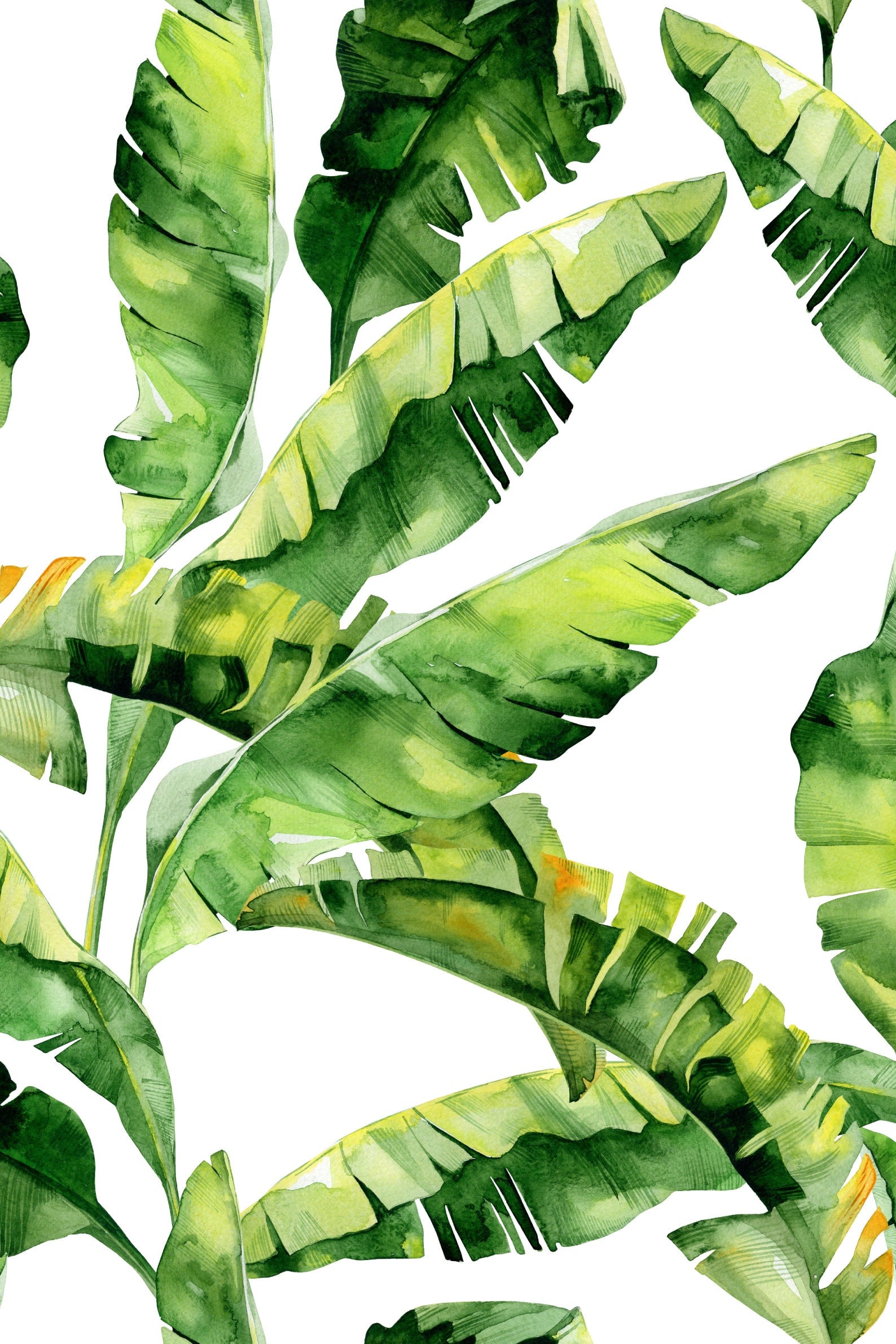 Banana Leaf Wallpaper Peel and Stick - Clickwalls