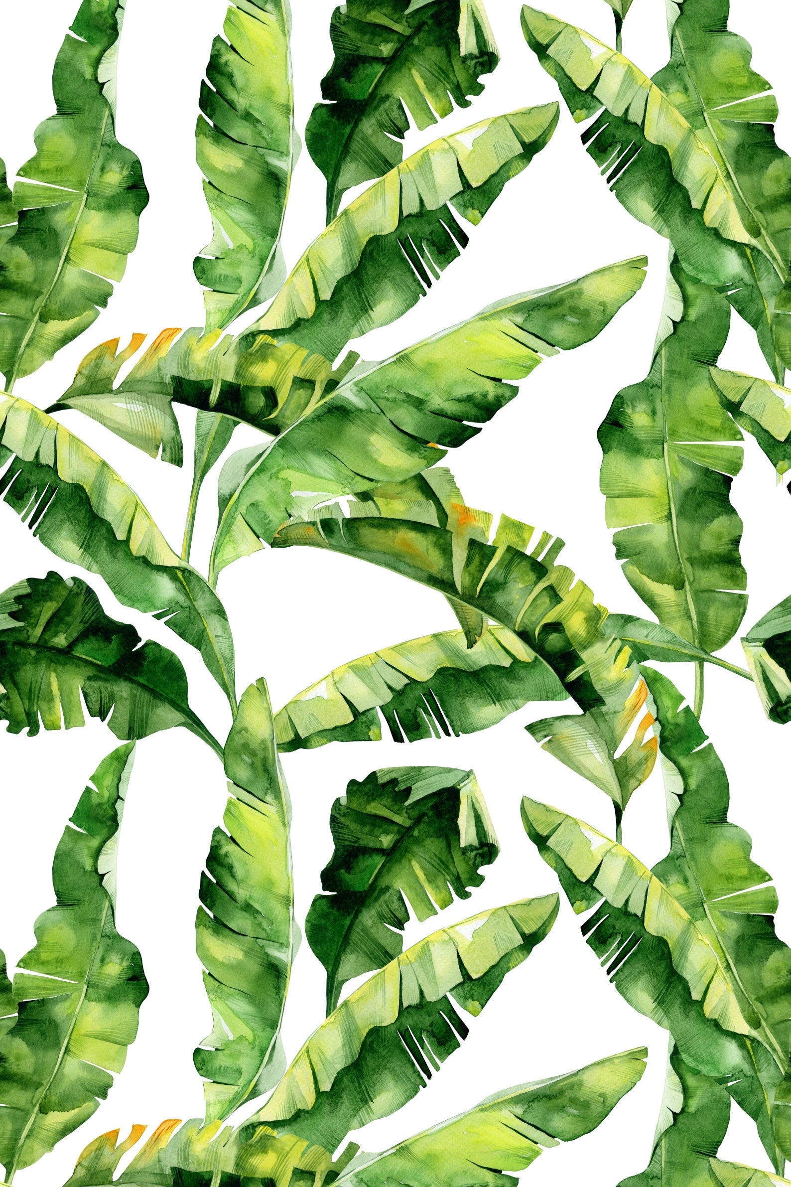 Banana Leaf Wallpaper Peel and Stick - Clickwalls