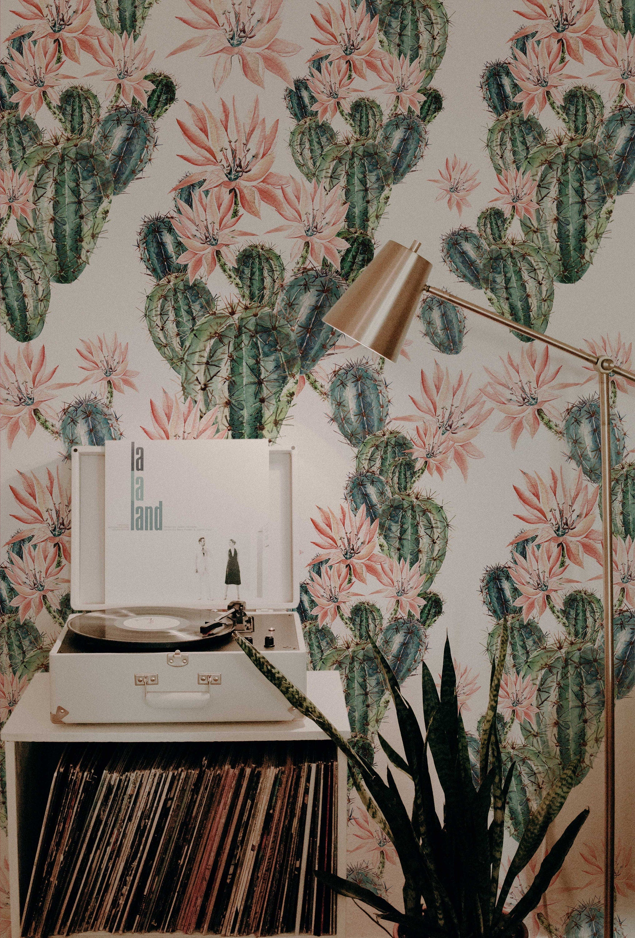 Abnehmbare Tapete mit Aquarell-Kaktusblüten | Kakteen-Wandbild