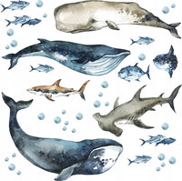 Sharks & Whales Decal Set - Sperm, Humpback, Blue, Hammerhead Shark + More - Watercolour Effect Stickers - Ocean Theme - Clickwalls