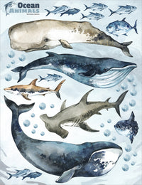 Sharks & Whales Decal Set - Sperm, Humpback, Blue, Hammerhead Shark + More - Watercolour Effect Stickers - Ocean Theme - Clickwalls