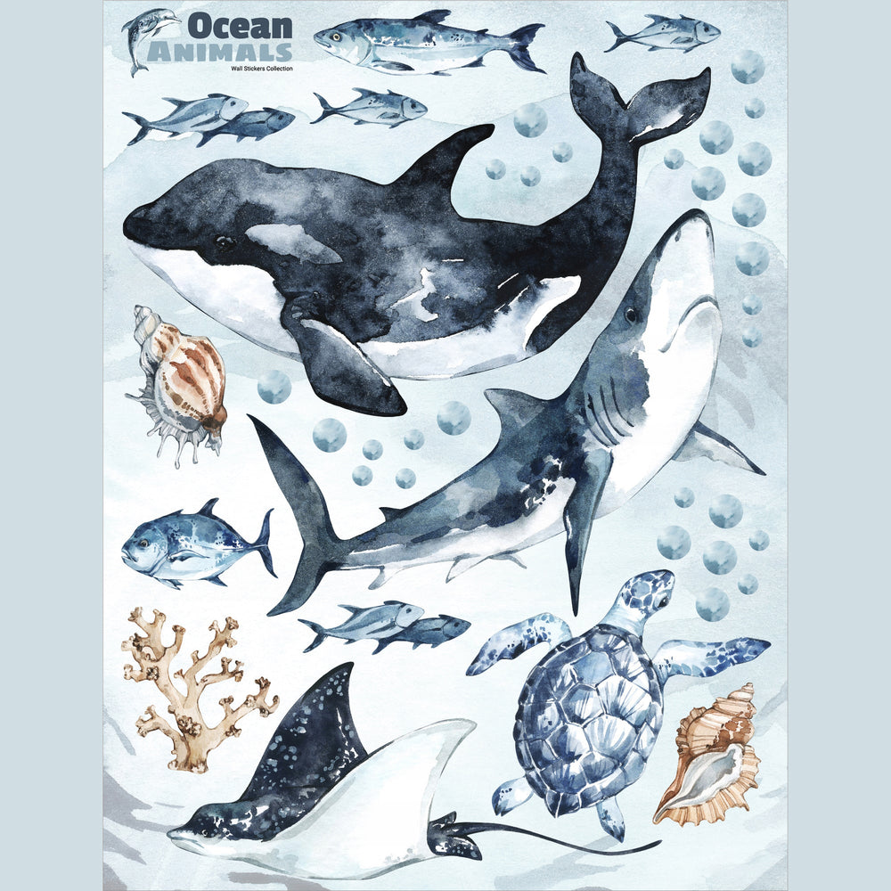 Ocean Predators Wall Decals full set laid out