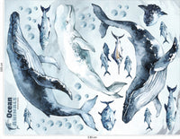 Whales & Fishes Decal Set - Ocean theme - Watercolour effect wall stickers - Clickwalls