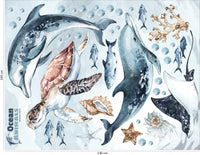 Dolphins & Turtle Decal Set - Ocean Theme - Watercolour Effect Stickers - Clickwalls