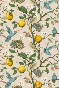 Lemon Grove Hummingbirds Peel and Stick Wallpaper - Removable Self-Adhesive for Nursery or Kitchen - Clickwalls