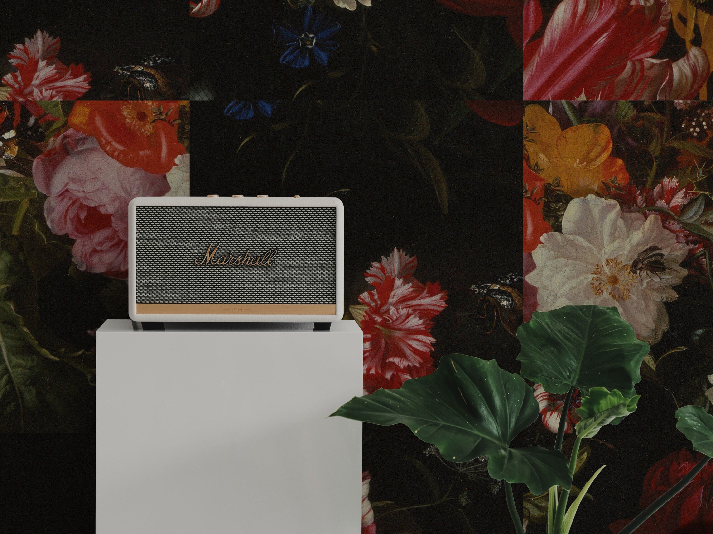 Vintage Dark Floral Peel and Stick Wallpaper | Botanical Wallpaper | Temporary Wallpaper | Dark Academia Decor | Renter Friendly Wall Decor - Clickwalls