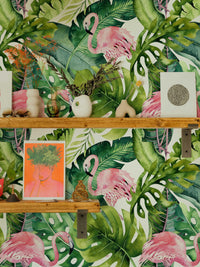Tropical Flamingo Wallpaper behind shelves