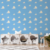 Blue Cloud Wallpaper behind toy storage