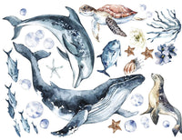 Ocean Animals Wall Decal for Kids and Nursery, Sticker Set, Dolphin, Turtle, Whale, Fishes, Seal, Corals, Watercolour, OCEAN Life - Clickwalls